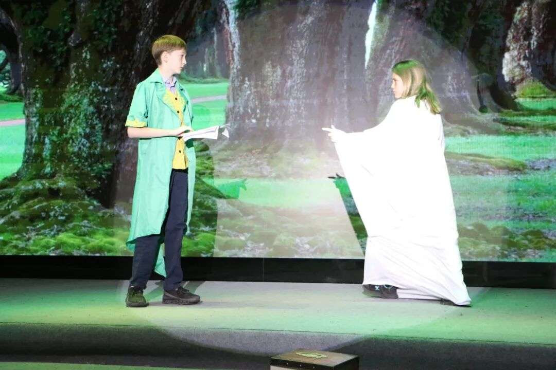 Medical Immersion Programme