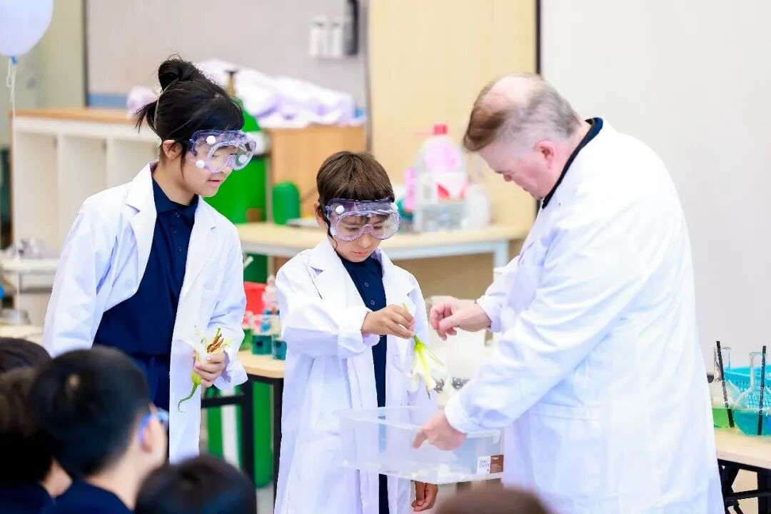 Creative arts project