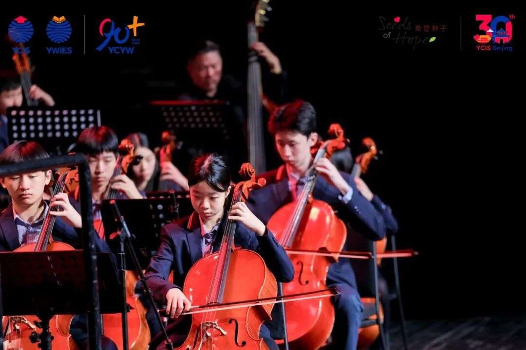 希望种子主题曲大合唱晚会高潮